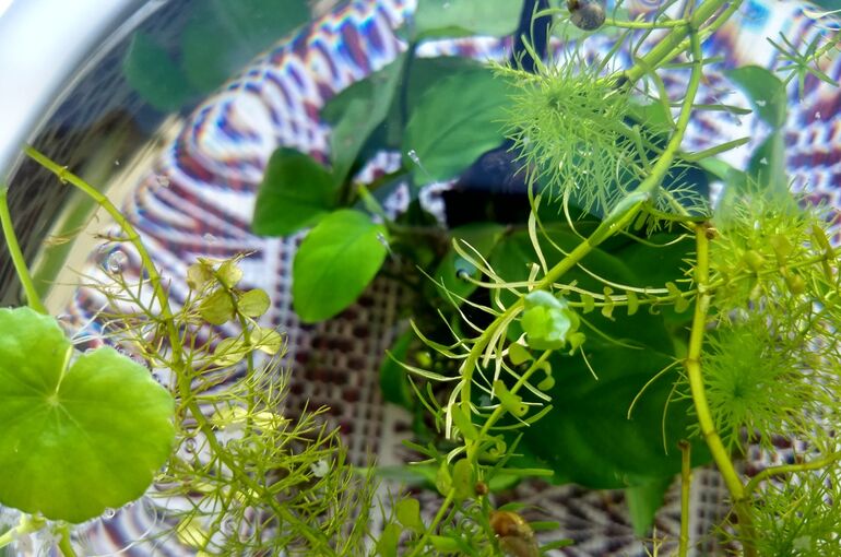IMG_20210612_164530684_HDR~2